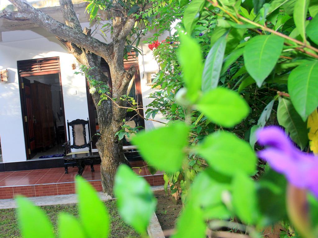 Lotus Villa Mirissa Exterior photo