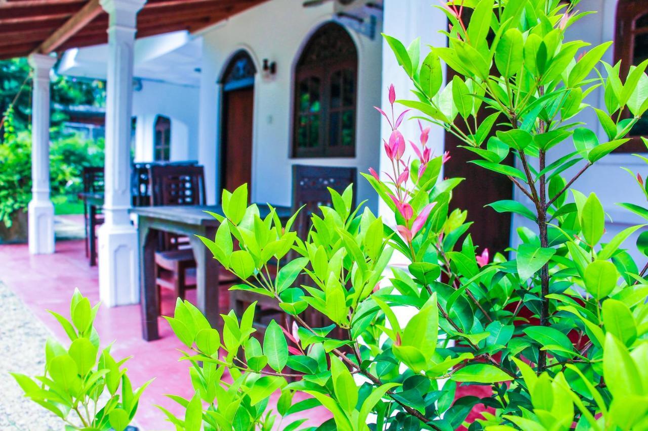 Lotus Villa Mirissa Exterior photo